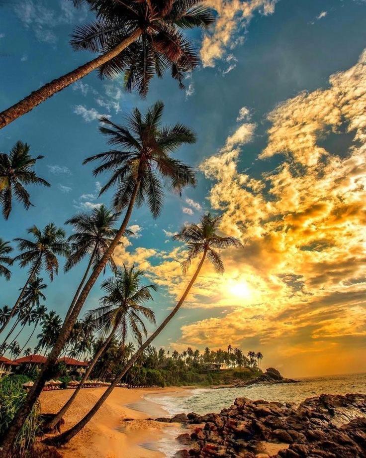 تانجالي Samans Guesthouse المظهر الخارجي الصورة